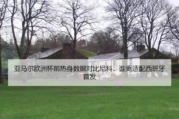 亚马尔欧洲杯前热身数据对比尼科：谁更适配西班牙首发